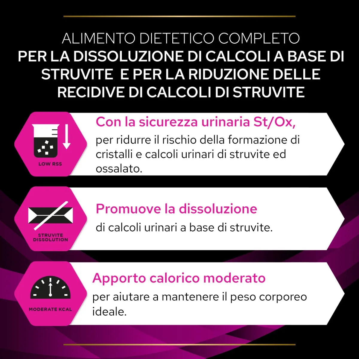 Pro Plan Feline UR Urinary Salmone 10x85g Umido per Gatti Pro Plan Feline UR Urinary Salmone 10x85g Umido per Gatti